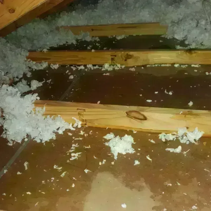 Attic Water Damage in Manson, WA