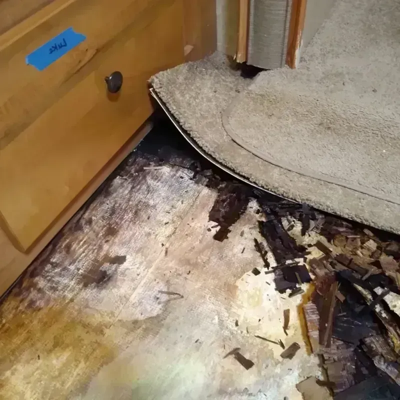 Wood Floor Water Damage in Manson, WA